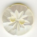 Iridescent white shell